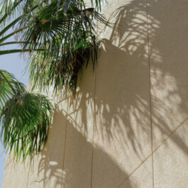 Steffi Thierheimer Coaching