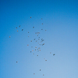 Steffi Thierheimer Coaching