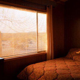 Steffi Thierheimer Coaching