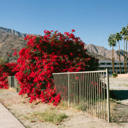 Steffi Thierheimer Coaching