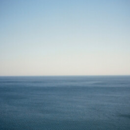 Steffi Thierheimer Coaching