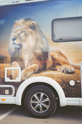 Steffi Thierheimer Coaching